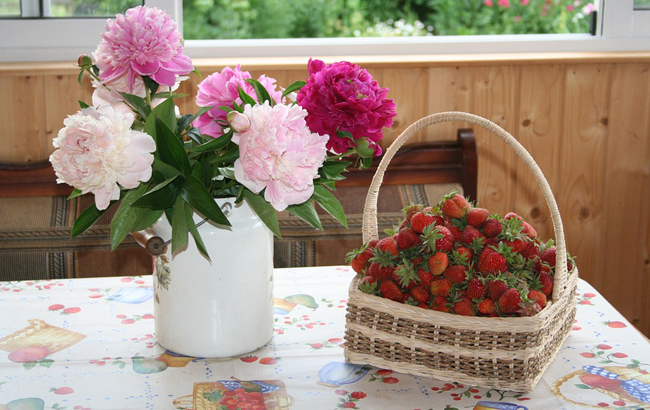 Дача на літо: які ціни очікуються в цьому сезоні